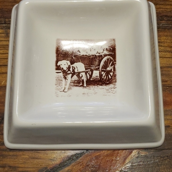 O.R.E. Square Dog Bowl - Picture 1 of 4
